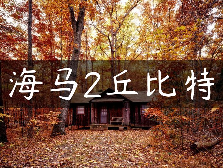 海马2丘比特