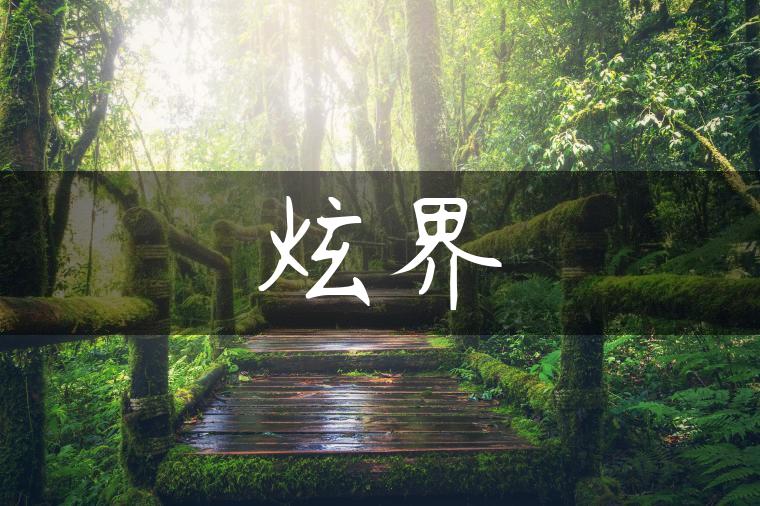 炫界-金牌车友