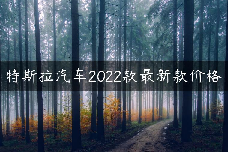 特斯拉汽车2022款最新款价格