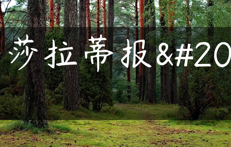 玛莎拉蒂报价