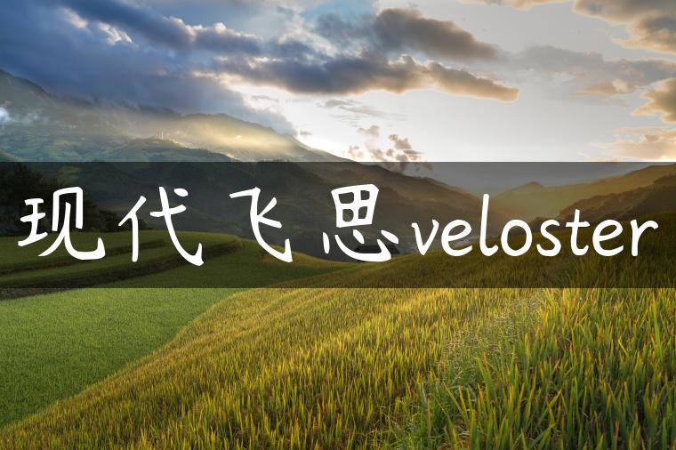 现代飞思veloster