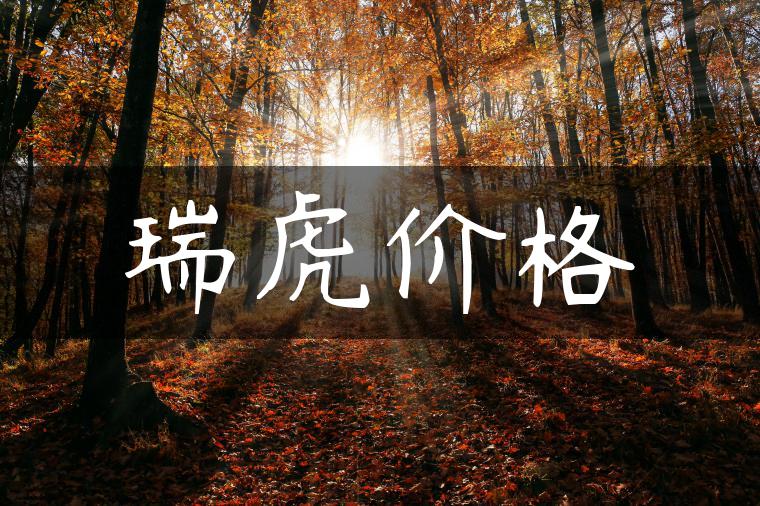 瑞虎价格