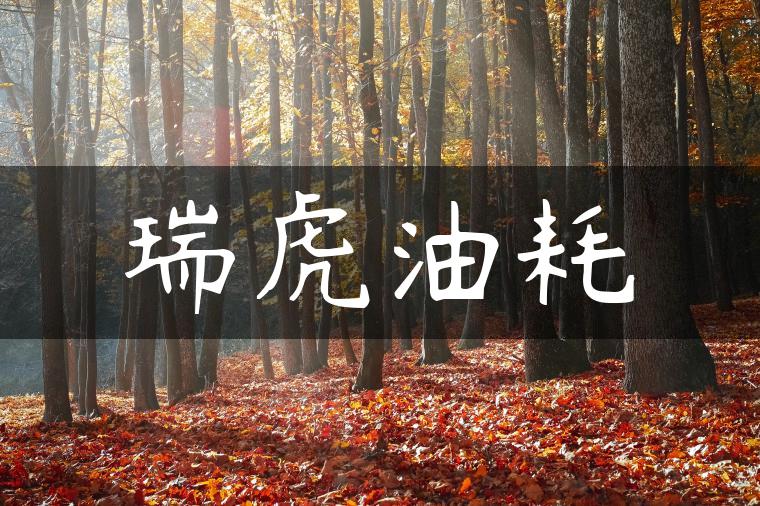 瑞虎油耗-金牌车友