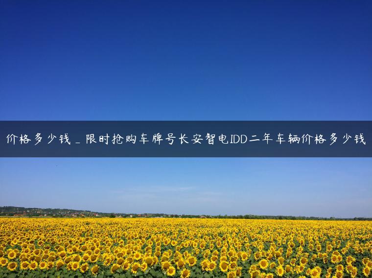 价格多少钱_限时抢购车牌号长安智电IDD二年车辆价格多少钱