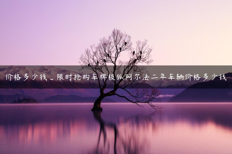 价格多少钱_限时抢购车牌极狐阿尔法二年车辆价格多少钱