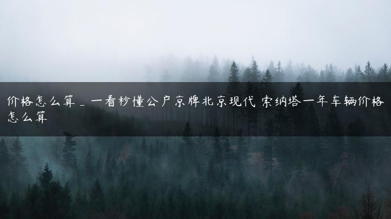价格怎么算_一看秒懂公户京牌北京现代 索纳塔一年车辆价格怎么算