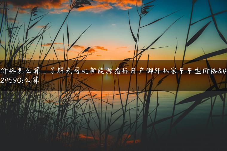 价格怎么算_了解老司机新能源指标日产御轩私家车车型价格怎么算