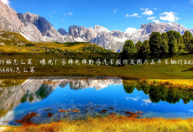价格怎么算_曝光！京牌电牌野马汽车报价及图片五年车辆价格怎么算