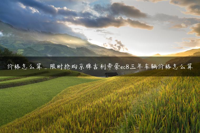 价格怎么算_限时抢购京牌吉利帝豪ec8三年车辆价格怎么算