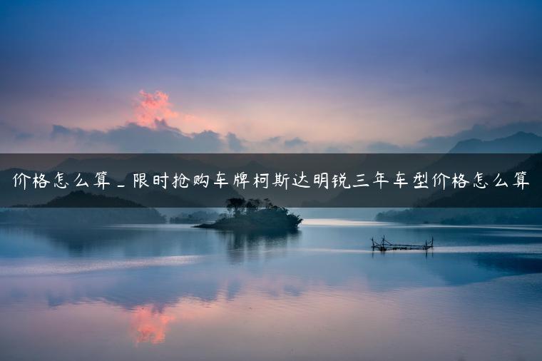 价格怎么算_限时抢购车牌柯斯达明锐三年车型价格怎么算
