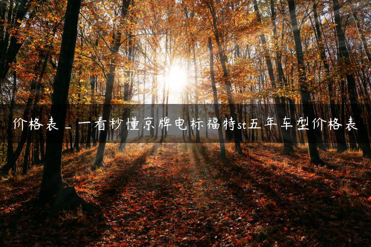 价格表_一看秒懂京牌电标福特st五年车型价格表