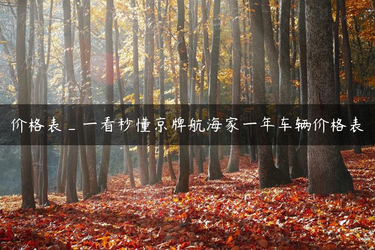 价格表_一看秒懂京牌航海家一年车辆价格表