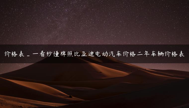 价格表_一看秒懂牌照比亚迪电动汽车价格二年车辆价格表-金牌车友