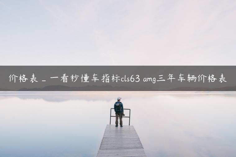 价格表_一看秒懂车指标cls63 amg三年车辆价格表