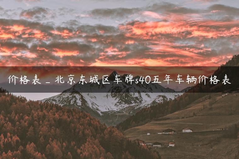 价格表_北京东城区车牌s40五年车辆价格表