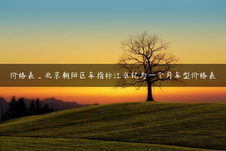 价格表_北京朝阳区车指标江淮钇为一个月车型价格表-金牌车友