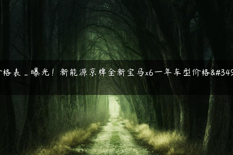 价格表_曝光！新能源京牌全新宝马x6一年车型价格表