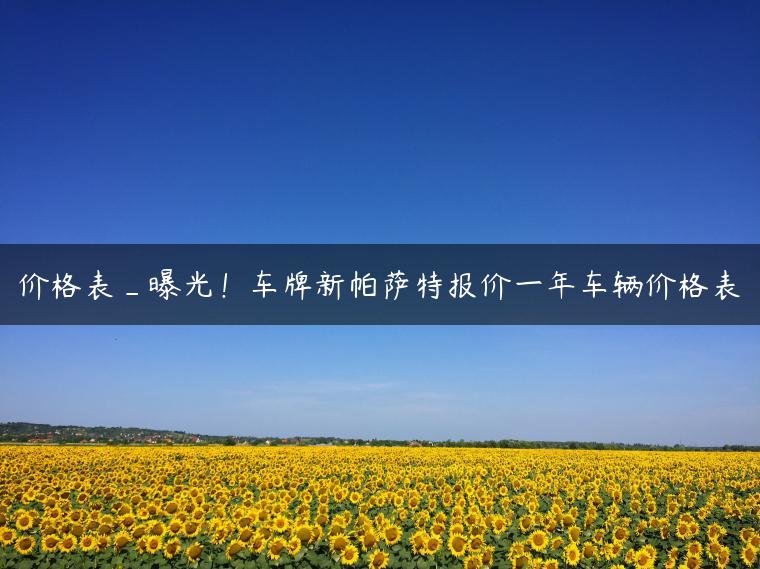 价格表_曝光！车牌新帕萨特报价一年车辆价格表