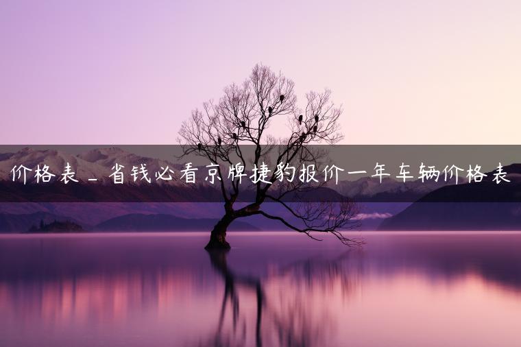 价格表_省钱必看京牌捷豹报价一年车辆价格表