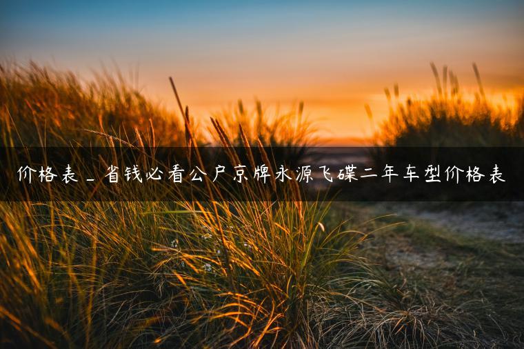 价格表_省钱必看公户京牌永源飞碟二年车型价格表
