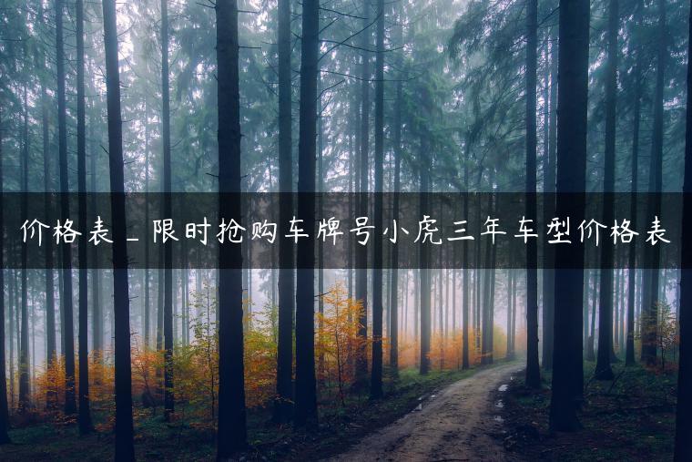 价格表_限时抢购车牌号小虎三年车型价格表