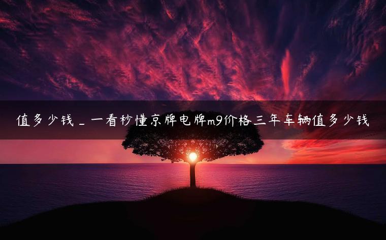 值多少钱_一看秒懂京牌电牌m9价格三年车辆值多少钱
