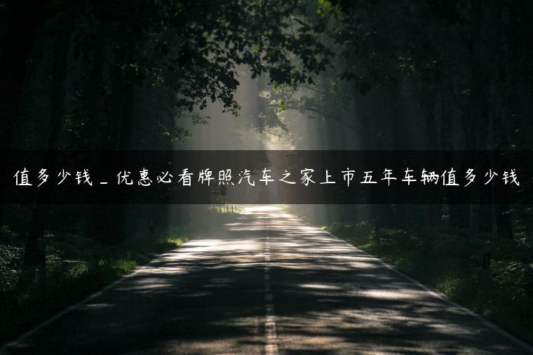 值多少钱_优惠必看牌照汽车之家上市五年车辆值多少钱