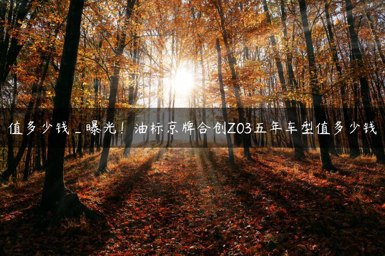 值多少钱_曝光！油标京牌合创Z03五年车型值多少钱