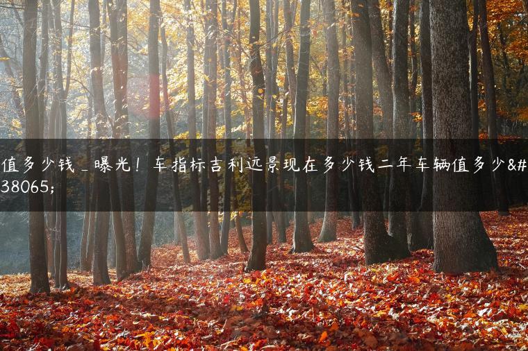 值多少钱_曝光！车指标吉利远景现在多少钱二年车辆值多少钱