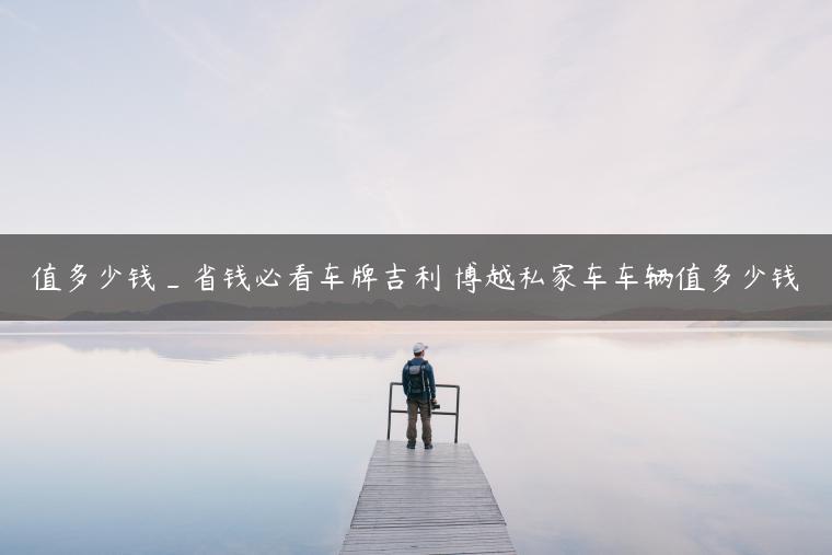 值多少钱_省钱必看车牌吉利 博越私家车车辆值多少钱-金牌车友