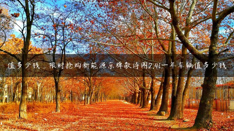 值多少钱_限时抢购新能源京牌歌诗图2.4l一年车辆值多少钱