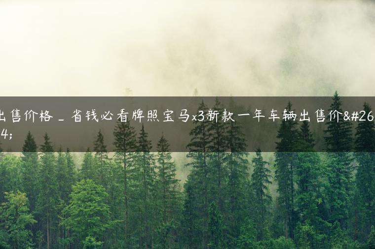 出售价格_省钱必看牌照宝马x3新款一年车辆出售价格