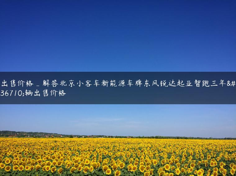 出售价格_解答北京小客车新能源车牌东风锐达起亚智跑三年车辆出售价格