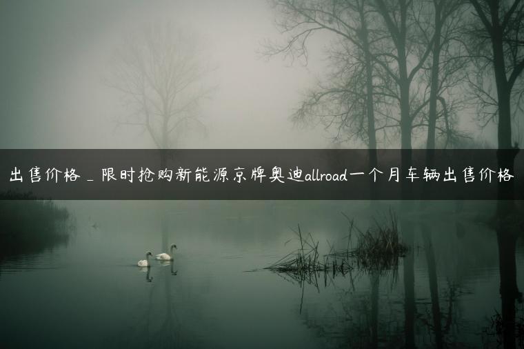 出售价格_限时抢购新能源京牌奥迪allroad一个月车辆出售价格