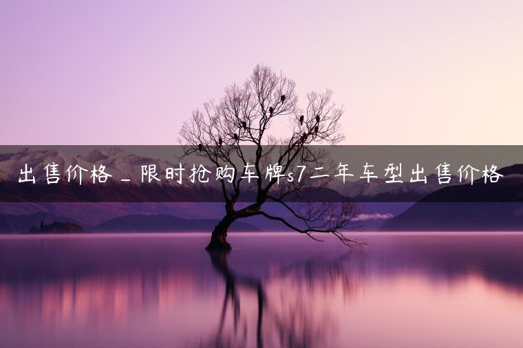 出售价格_限时抢购车牌s7二年车型出售价格