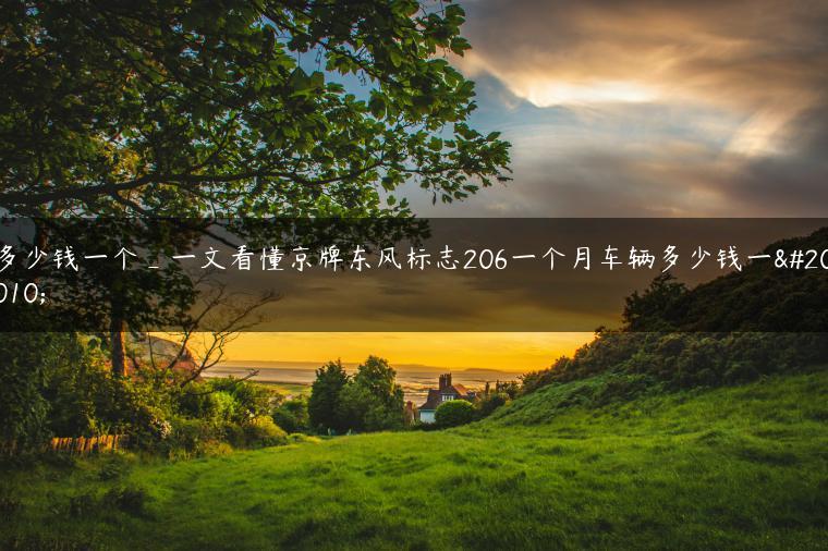 多少钱一个_一文看懂京牌东风标志206一个月车辆多少钱一个