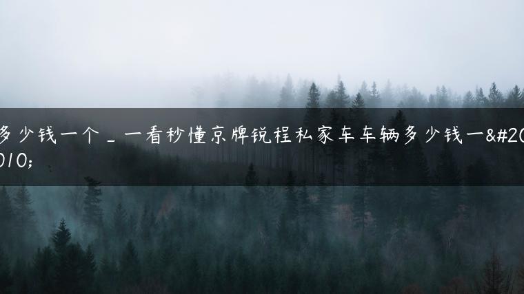 多少钱一个_一看秒懂京牌锐程私家车车辆多少钱一个