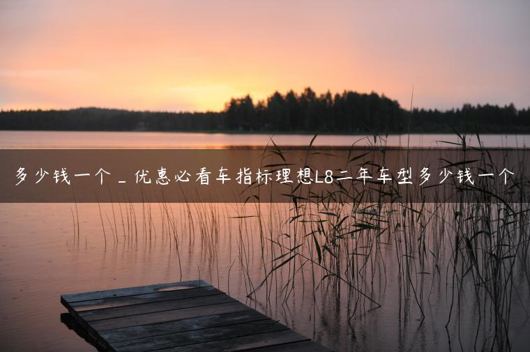 多少钱一个_优惠必看车指标理想L8二年车型多少钱一个