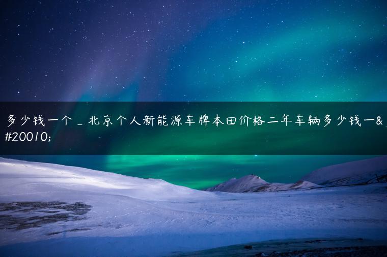 多少钱一个_北京个人新能源车牌本田价格二年车辆多少钱一个