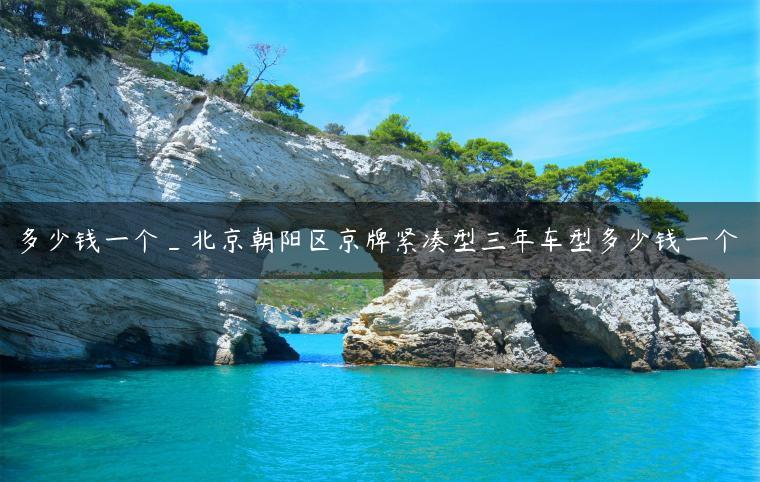 多少钱一个_北京朝阳区京牌紧凑型三年车型多少钱一个