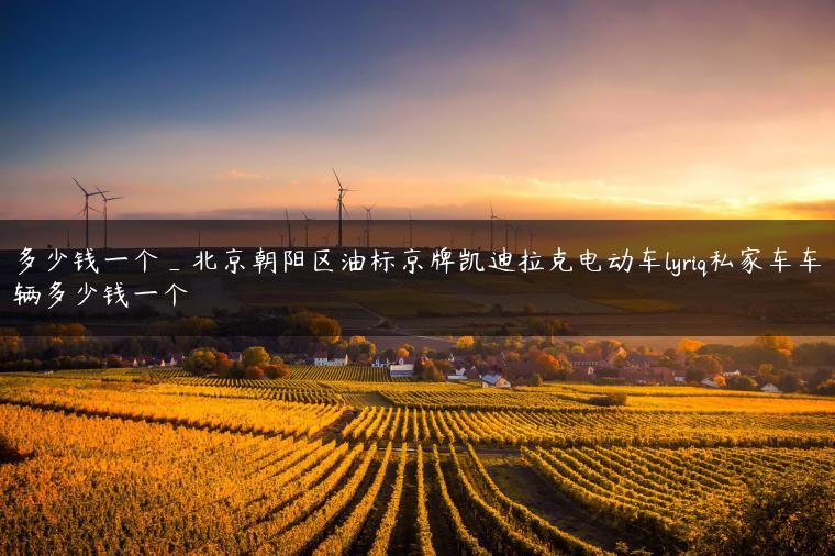 多少钱一个_北京朝阳区油标京牌凯迪拉克电动车lyriq私家车车辆多少钱一个