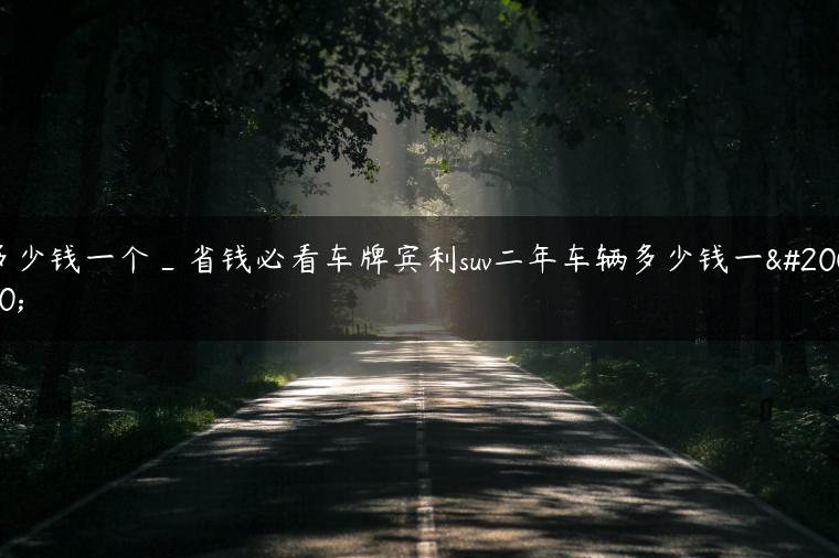 多少钱一个_省钱必看车牌宾利suv二年车辆多少钱一个-金牌车友