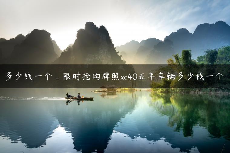 多少钱一个_限时抢购牌照xc40五年车辆多少钱一个
