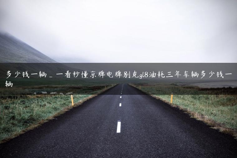 多少钱一辆_一看秒懂京牌电牌别克gl8油耗三年车辆多少钱一辆