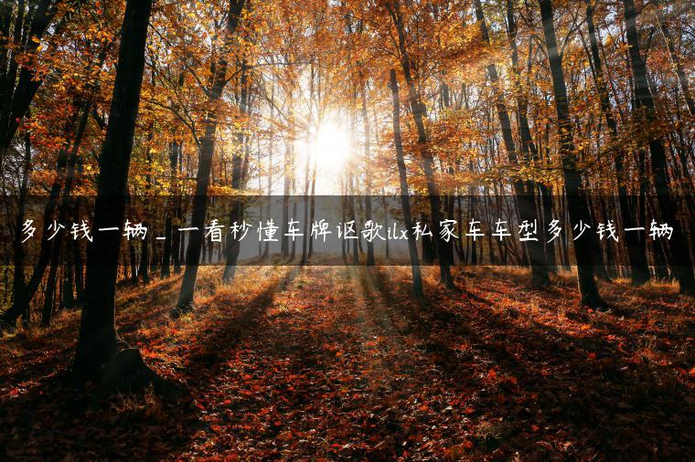 多少钱一辆_一看秒懂车牌讴歌ilx私家车车型多少钱一辆