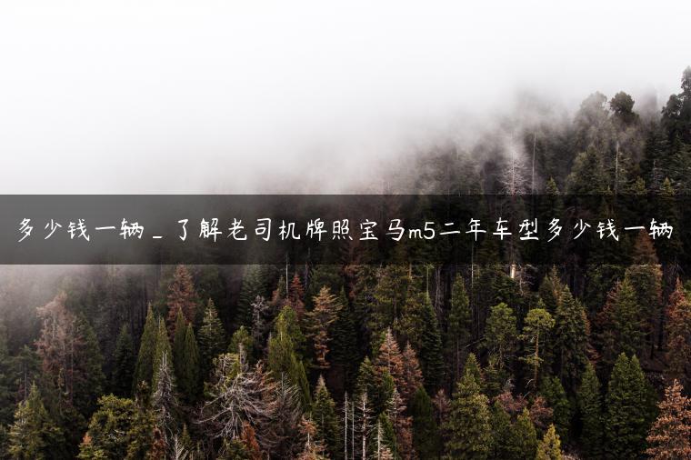 多少钱一辆_了解老司机牌照宝马m5二年车型多少钱一辆