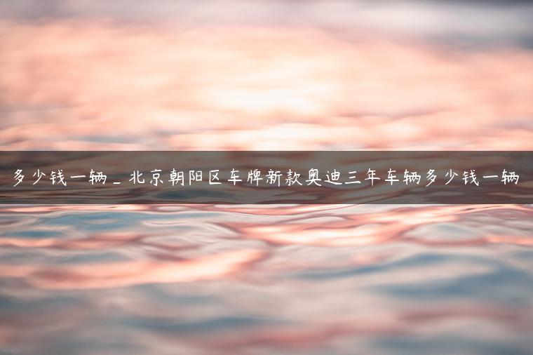 多少钱一辆_北京朝阳区车牌新款奥迪三年车辆多少钱一辆