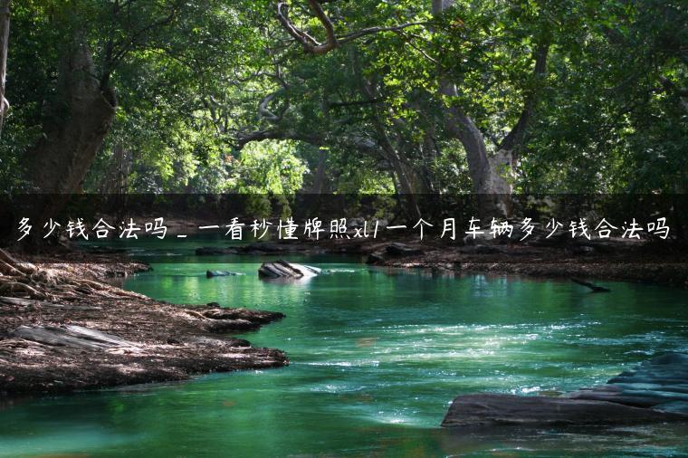 多少钱合法吗_一看秒懂牌照xl1一个月车辆多少钱合法吗