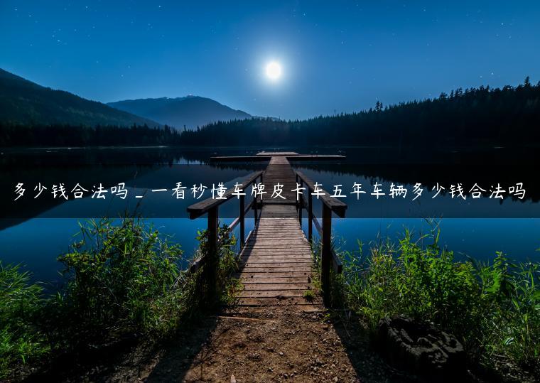 多少钱合法吗_一看秒懂车牌皮卡车五年车辆多少钱合法吗