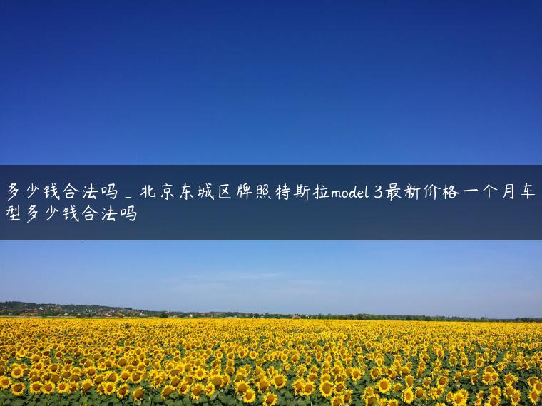 多少钱合法吗_北京东城区牌照特斯拉model 3最新价格一个月车型多少钱合法吗